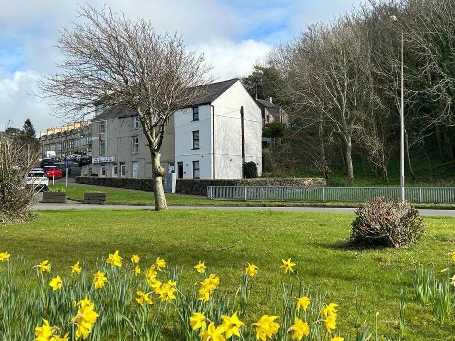 Caernarfon Modern Townhouse Snowdonia Villa ภายนอก รูปภาพ